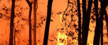 UF2370 Sistemas y Técnicas para la Prevención de Incendios Forestales. Mantenimiento de Infraestructuras de Prevención y Extinción