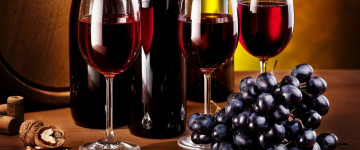 UF0909 Procesos de Elaboración de Productos Derivados de la Uva y del Vino