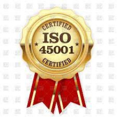 Técnico en Gestión del Sistema de Seguridad y Salud en el Trabajo ISO 45001