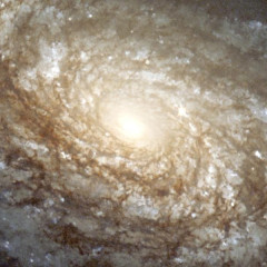 Curso de Astronomia: Especialista en Fisicas Galacticas y Extragalacticas