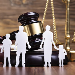 Curso en Derecho de Familias