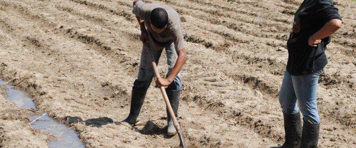 MF0517_1 Operaciones Auxiliares de Preparación del Terreno, Plantación y Siembra de Cultivos Agrícolas