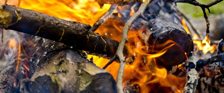 Curso Práctico de los Delitos de Incendio y la Investigación de sus Causas