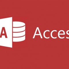 Experto en Microsoft Access 2016