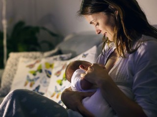 Curso de Alimentación en el Embarazo, Lactancia y Etapa Infantil
