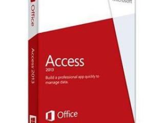 Experto en Microsoft Access 2013