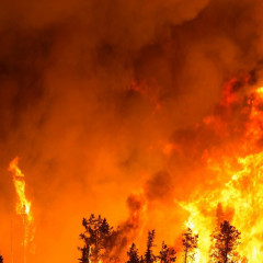 UF2367 Coordinación, Mando y Control de las Intervenciones en Incendios Forestales y en Contingencias en el Medio Natural y Rural